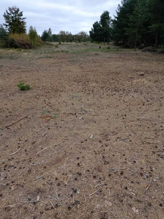 Sprzedam działkę  nr 405/5 1000 m2 Krusze gmina Klembów