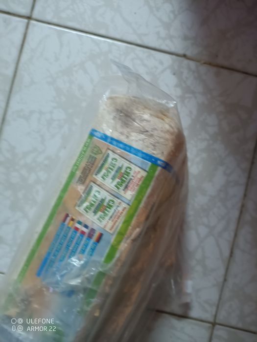 Caixa de ninho para caturras