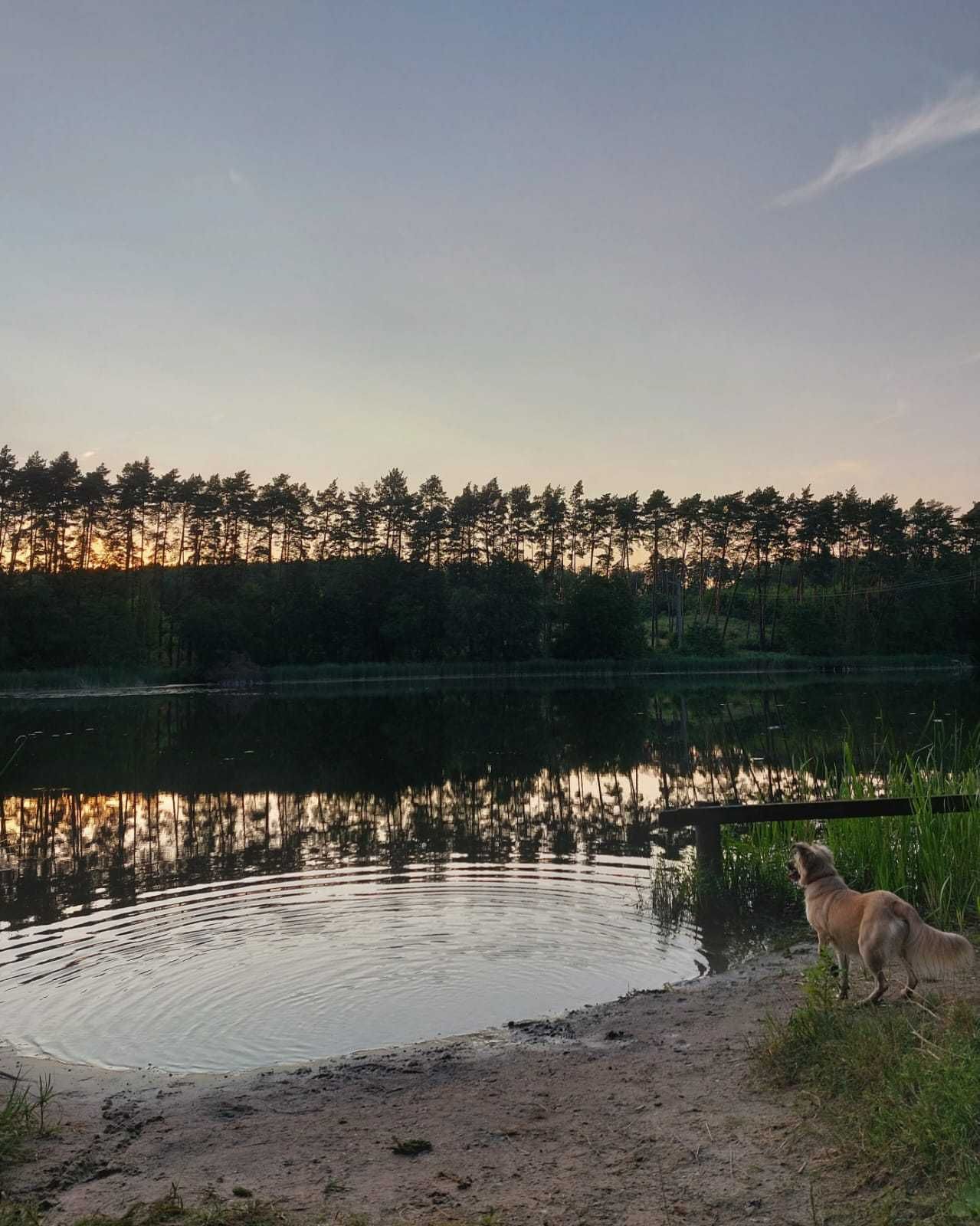 'W sam las' domek nad jeziorem