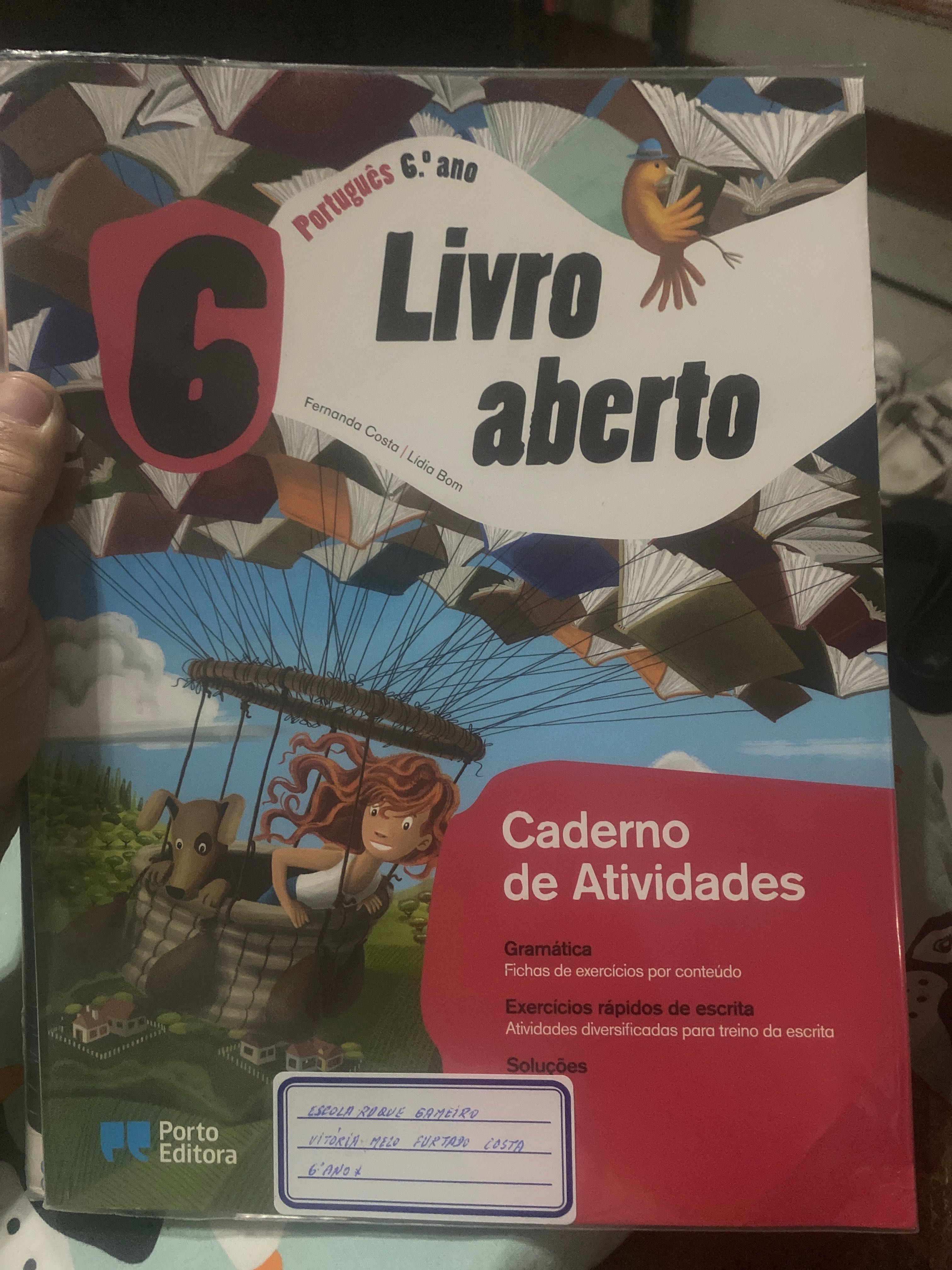 Livros escolares 6o ano só livro de actividades