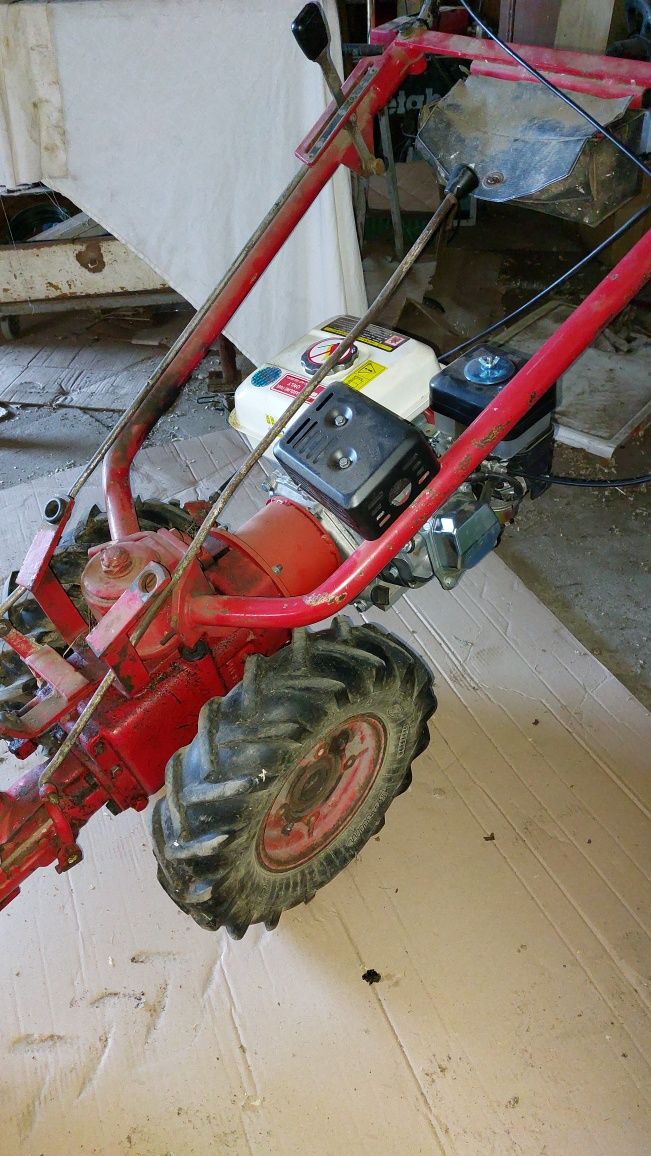 Traktorek dwukołowy dzik fm70