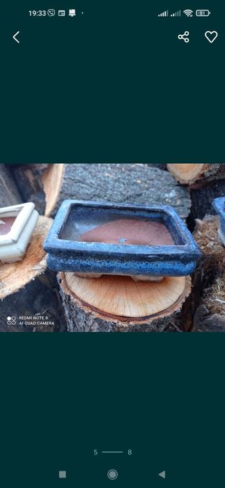 Підложка під бонсай плошка бонсайница горщик