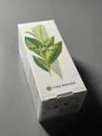 Woda toaletowa Zielona Herbata Yves Rocher 100ml