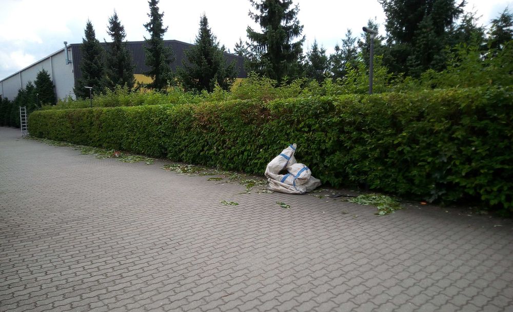 Kompleksowe usługi ogrodnicze-Zewnętrzne utrzymanie obiektów