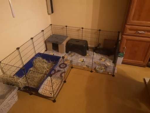 Klatka dla gryzoni królików świnki morskiej psa kota NOWA modułowa