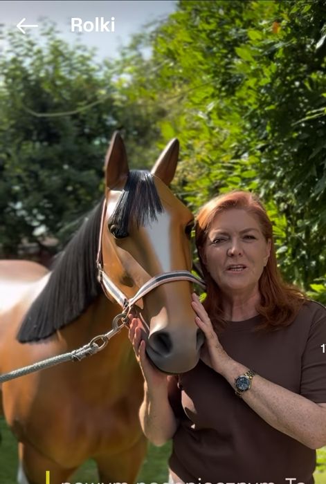 Figura Kon 190x250cm waga 70kg