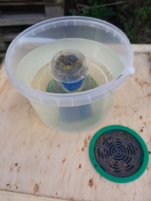 Ul ule Wielkopolskie 10 ramkowe korpusy styrodu środku drewno