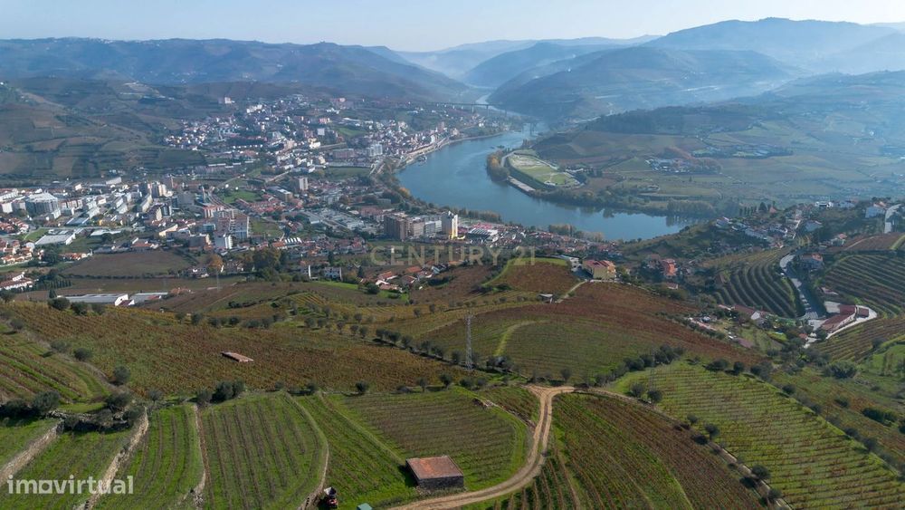 Magnifica Quinta com vinha e vistas privilegiadas para Rio Douro