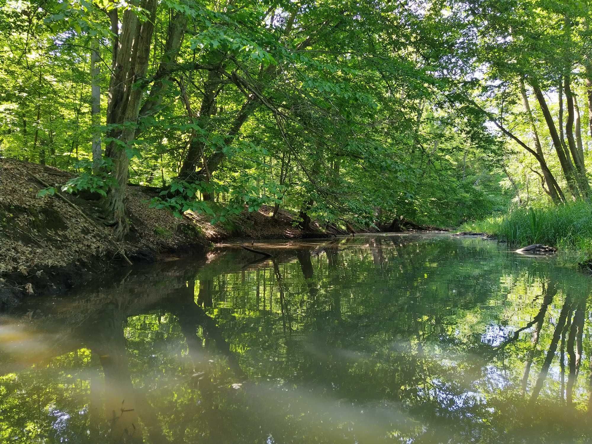 KAJAKI Spływy Wypożyczalnia Zielona Góra Zimny Potok