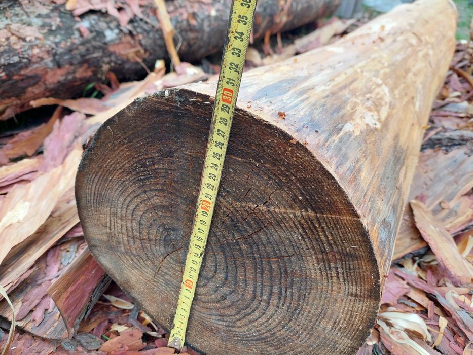 Bale  Modrzew  okorowane