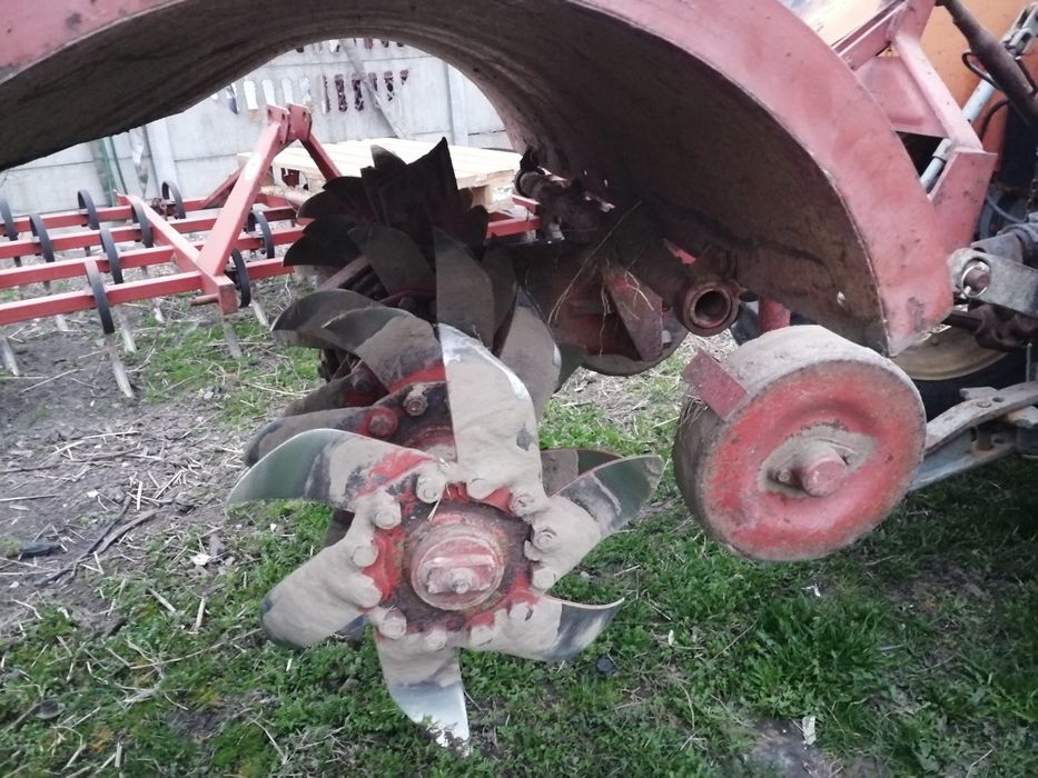 Glebogryzarki Unia Grudziądz