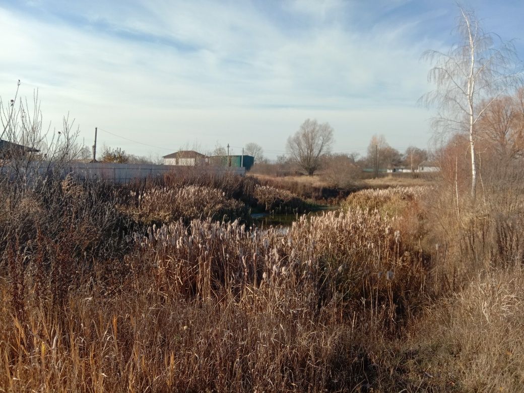 Продам земельну ділянку а с. Андріївка