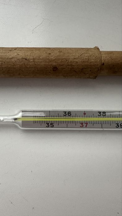 Градусник ртутний