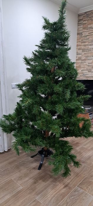 Pinheiro de Natal