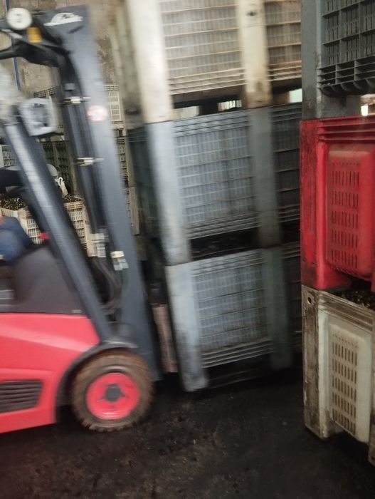 Azeite novo 0,04 décimas acidez