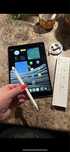 Tablet iPad Apple PRO —-256gb —- Touch ID - PROCREATE