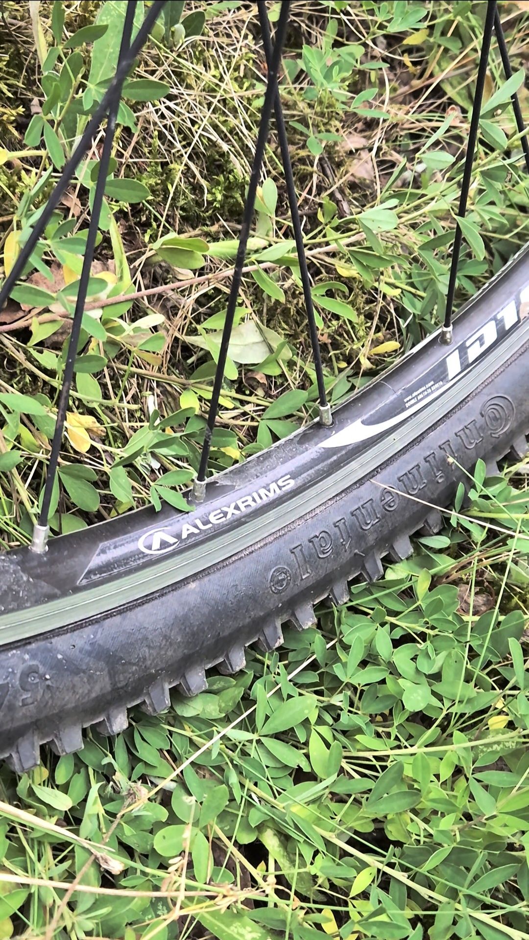 Rower Carver Pure 110 XC Concept – Rock Shox, Shimano SLX/Deore