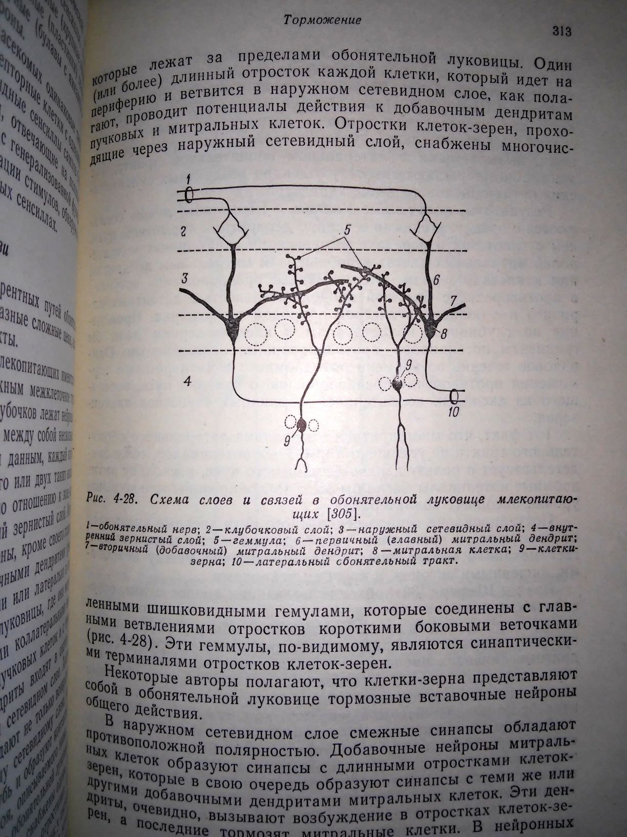 Тамар Основы сенсорной физиологии 1976