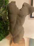 Busto/ tronco muito grande