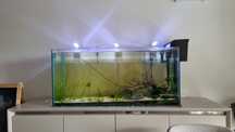Aquario 120x40x55 completo