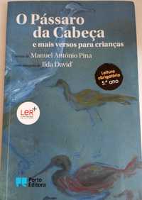 "O Pássaro da Cabeça" Livro de leitura obrigatória no 5 ano