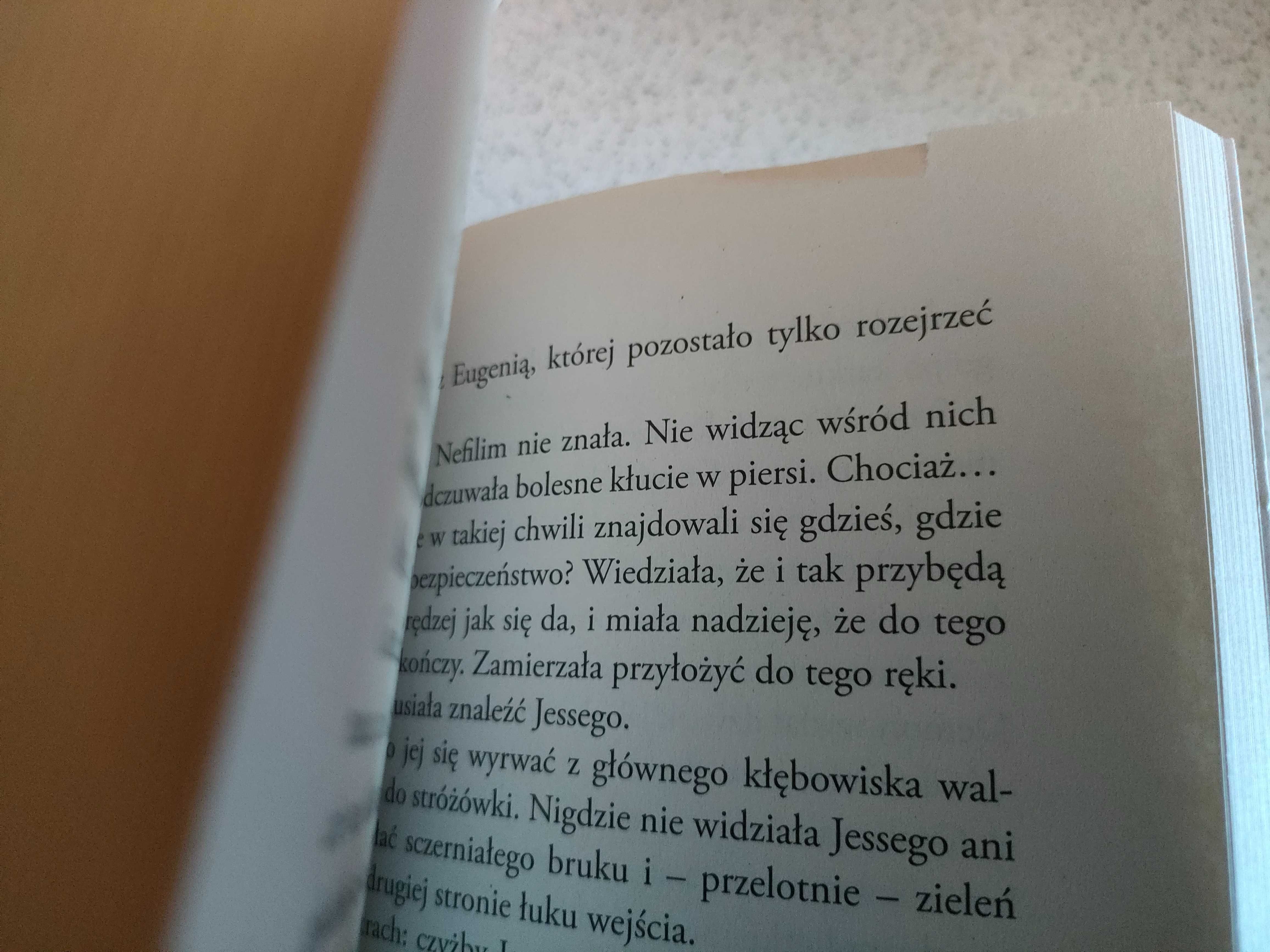 Łańcuch z żelaza, Łańcuch z cierni, Clare