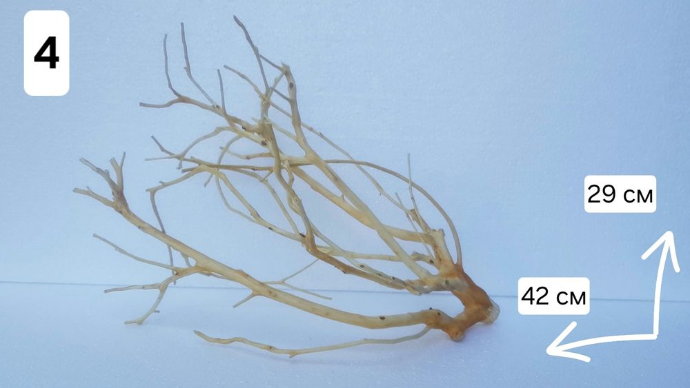 Акваріумні коряги