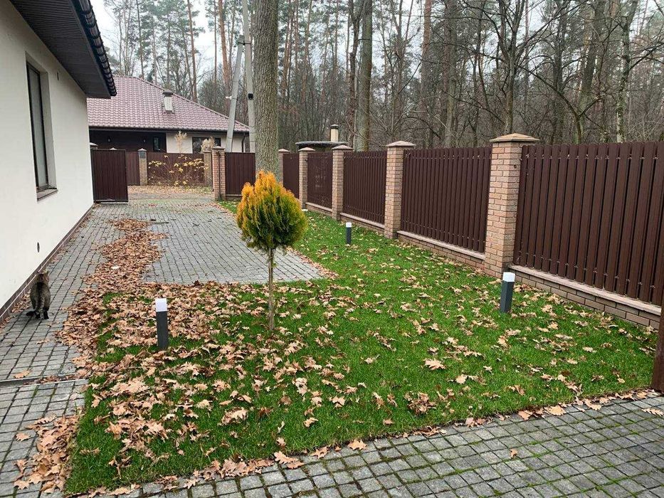 Послуги з обрізання саду та прибирання листя | Буча та район