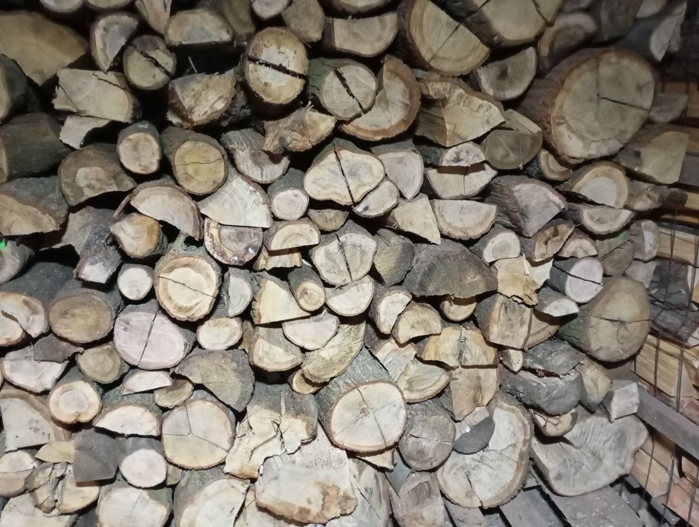 DĄB drewno kominkowe