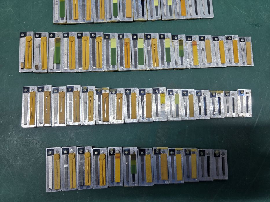 Głosy do akordeonu lub harmonii