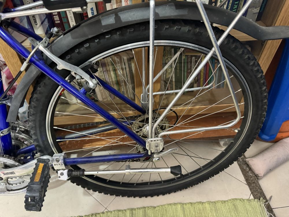 Bicicleta 2 Lugares com varios extras - 150€