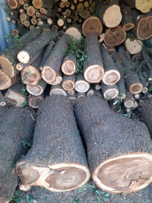 Дрова оптом от фуры — честная доставка без предоплаты