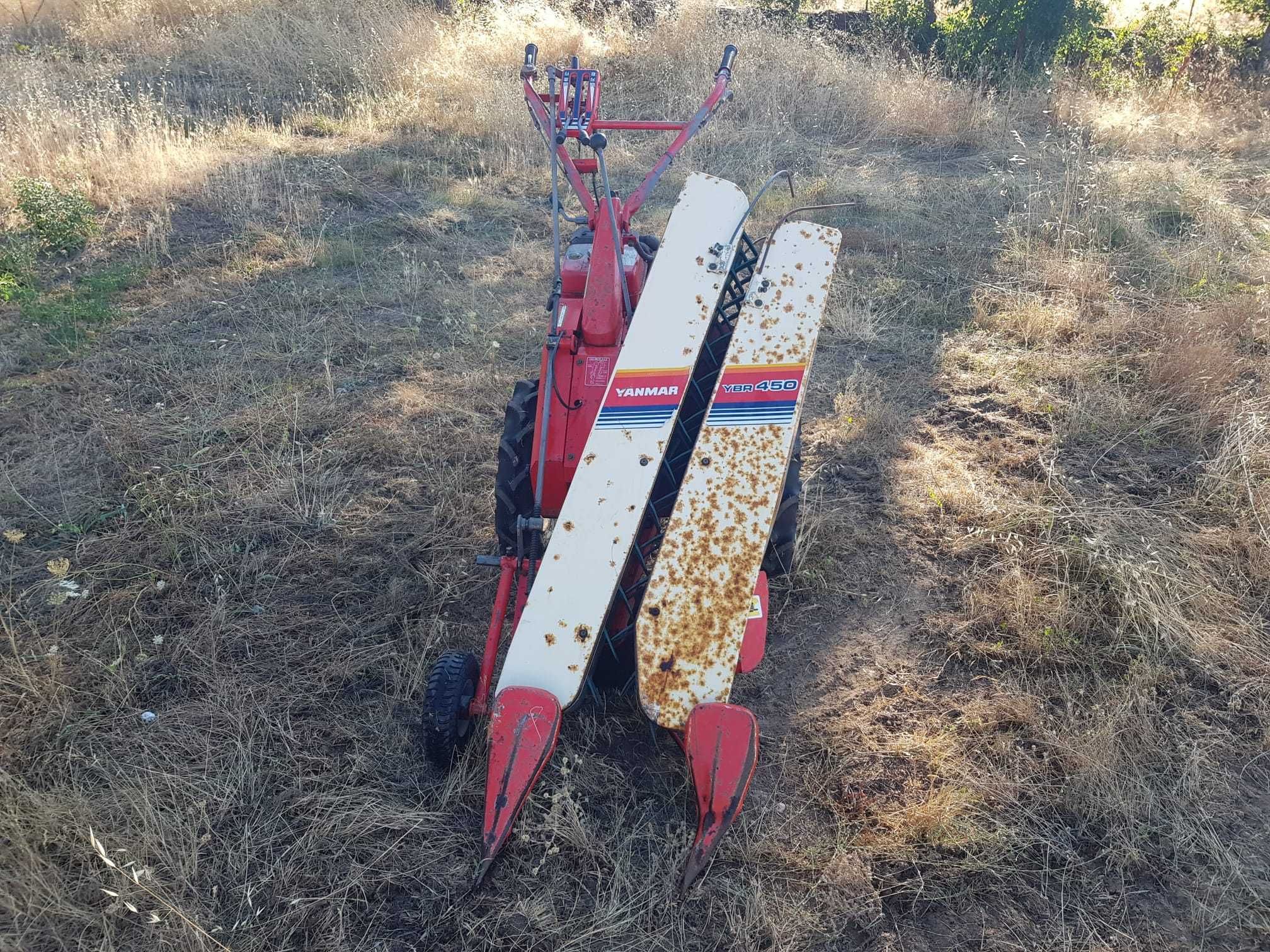 Máquina de apanhar feijão / Colhedora de feijão Yanmar YBR450 Japonesa