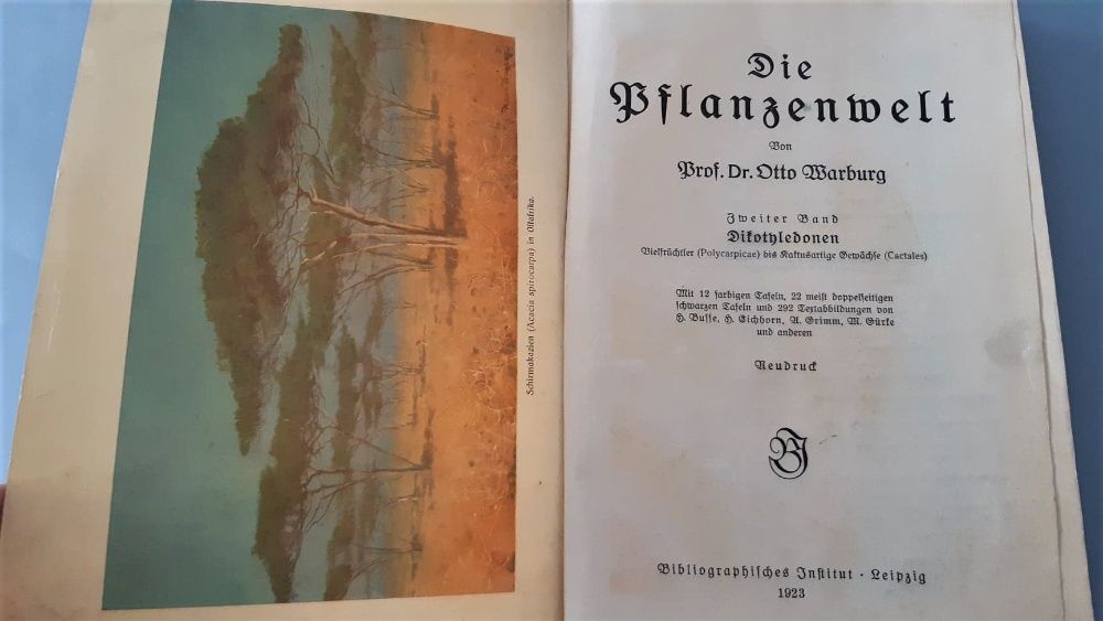 Otto Warburg - II WYDANIE Flora Bibliographisches Institut Lipsk 1923r