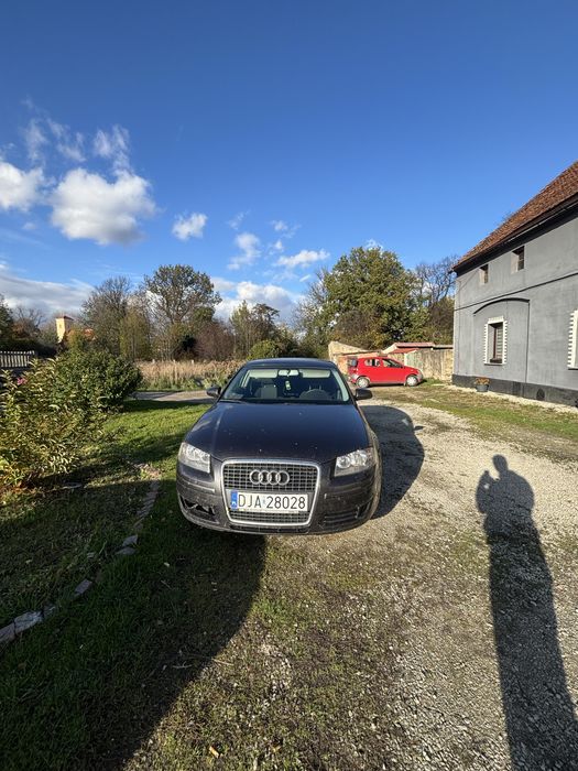 Audi A3 8P 1.9Tdi 2007