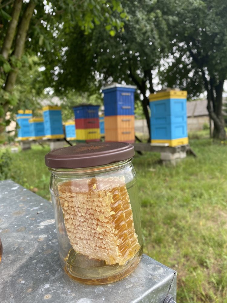 Miód Nektarowo-spadziowy *Leśny* Prosto z Pasieki  produkty pszczele