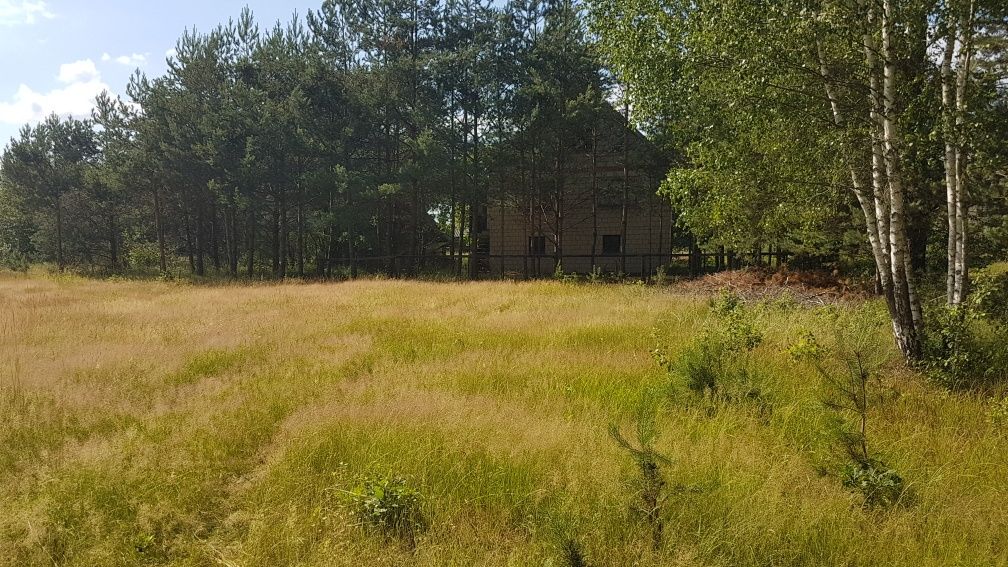 Sprzedam działkę na skraju Puszczy Białowieskiej.