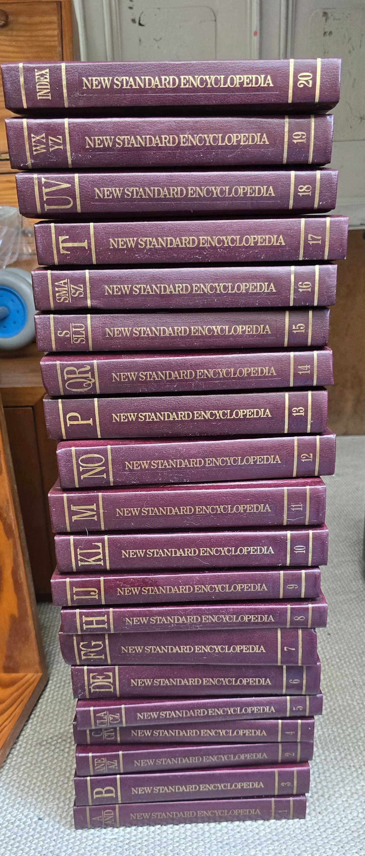 Enciclopedia new standard nova
