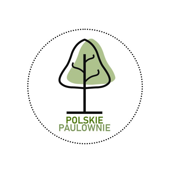 Paulownia Shang Tong - Dwuletnie sadzonki szybko rosnące. PRODUCENT