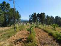 Terreno / Fundão, Silvares