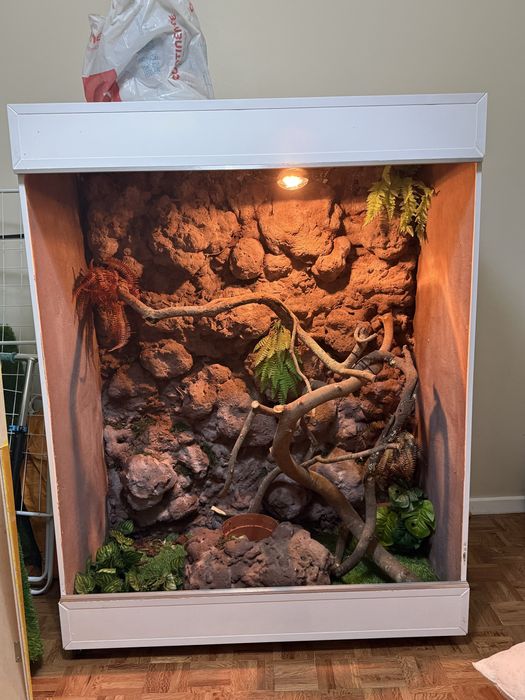 Terrario para Largato