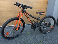 Rower KTM Wild Speed Disc 24