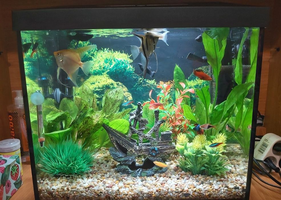 Akwarium  Aquael 35 litrów