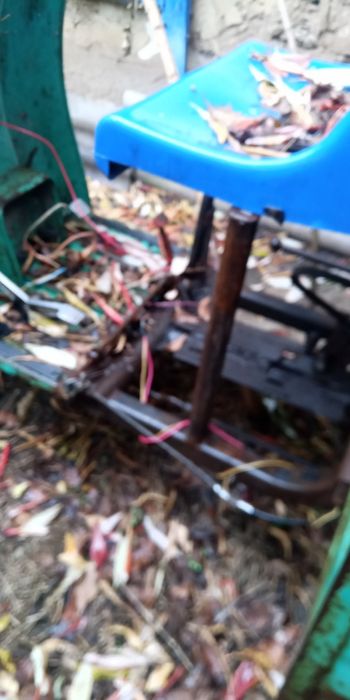 Продаи муравей вробочобустои