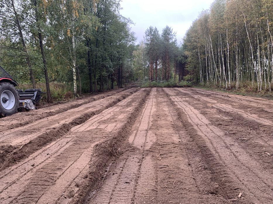 Mulczowanie Karczowanie Rekultywacja Czyszczenie DziałekMulczerWgłebny