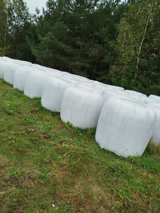 Sprzedam bele 2 pokos