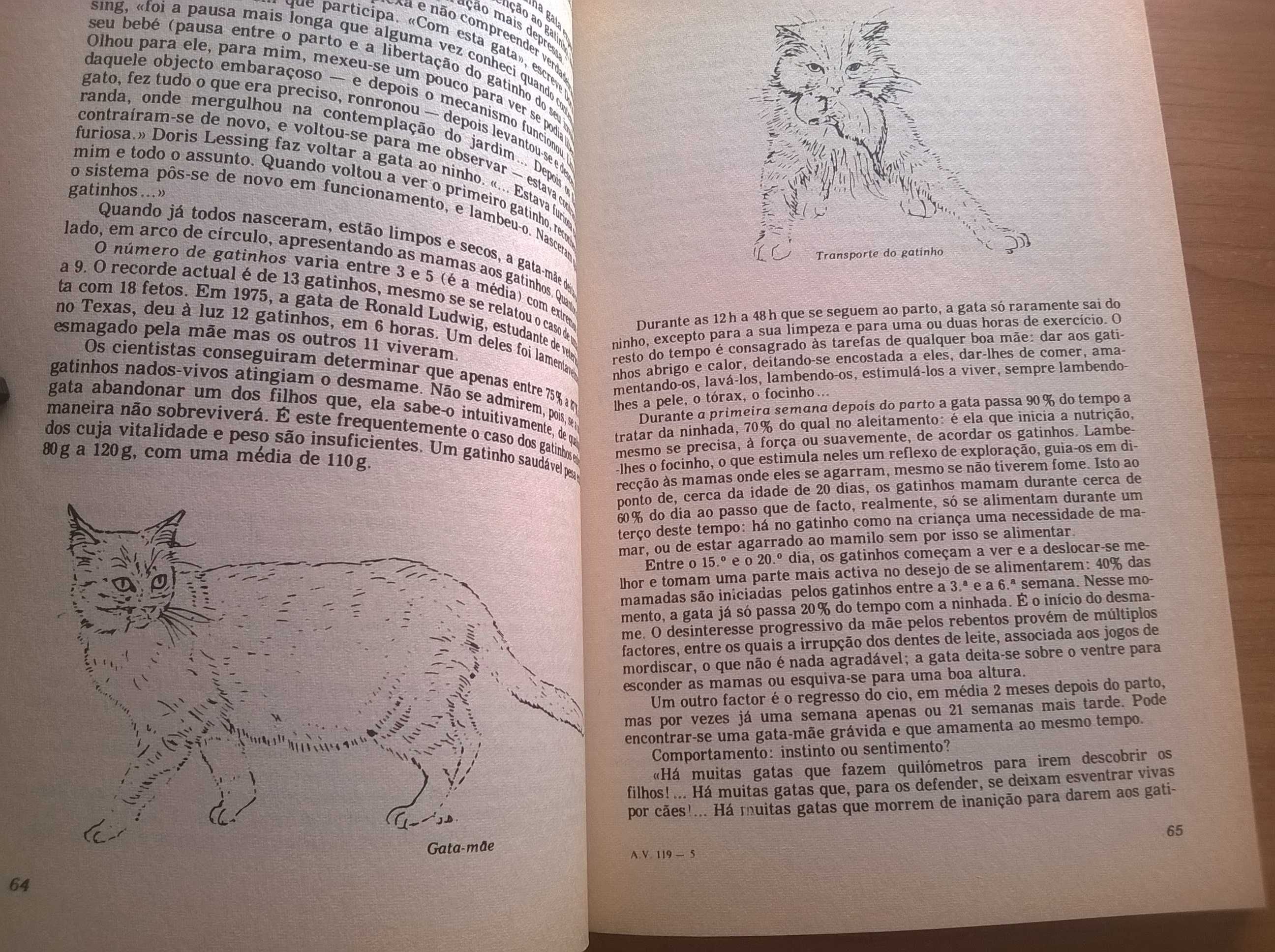 O que Você Precisa Saber  Sobre o Gato -Dr. Joel Dehasse e Dra Colette