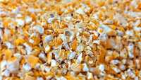 Kukurydza gnieciona karma dla drobiu 20kg