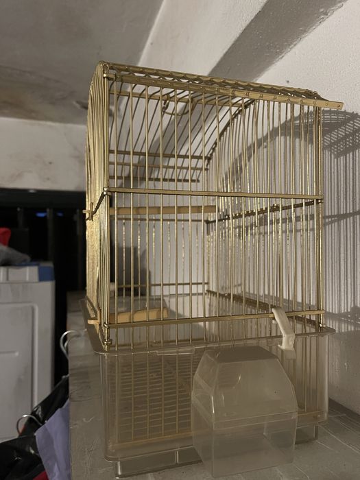 Gaiola dourada I nunca usada
