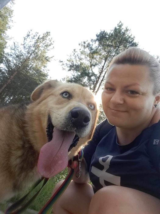 Zibo - inteligentny psiak o ogromnych pokładach energii